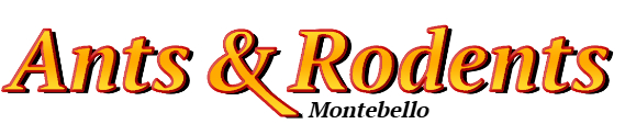 Montebello Ant Exterminator & Rodent Control Company Logo